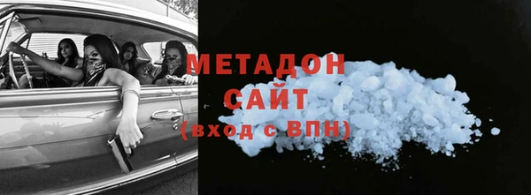амф Гусев