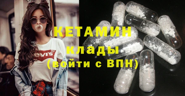 амф Гусев
