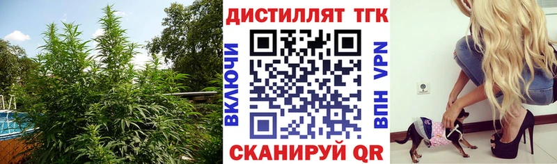Купить  Ленинск  ТГК THC oil 